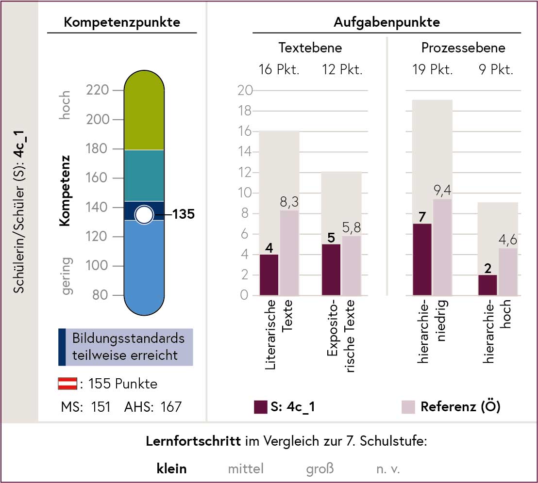 Die Grafik zeigt zeigt die Kompetenzpunkte und Aufgabenpunkte in einer Rückmeldung.