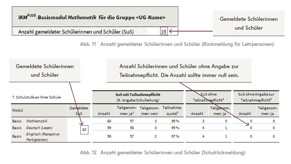 Die Tabelle gibt einen Überblick über die Anzahl der gemeldeten Schüler/innen an der Schule sowie deren Teilnahme an der iKM PLUS.